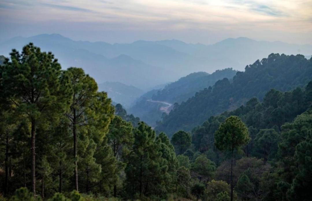 The Kasauli Western Uphills I Serviced Apartments I Pvt Balcony I Peacefull Area I By Exotic Stays Zewnętrze zdjęcie