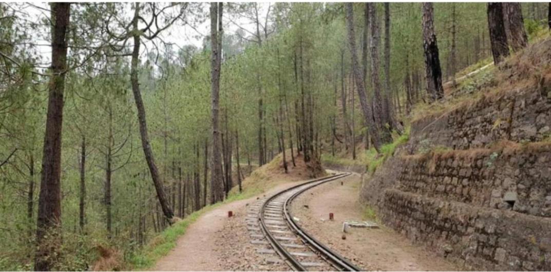 The Kasauli Western Uphills I Serviced Apartments I Pvt Balcony I Peacefull Area I By Exotic Stays Zewnętrze zdjęcie